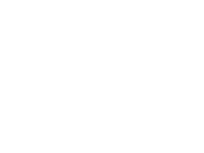 fan_fest_logo_v02