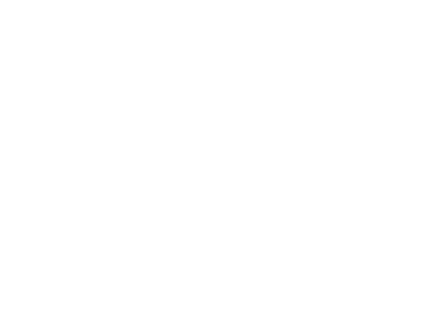 fise_logo_v02