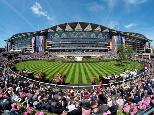 Tellyo central to Ascot Racecourse fan engagement and commercial strategy